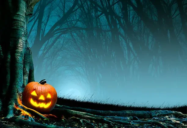 Halloween card design 2 — pumpkin in forest